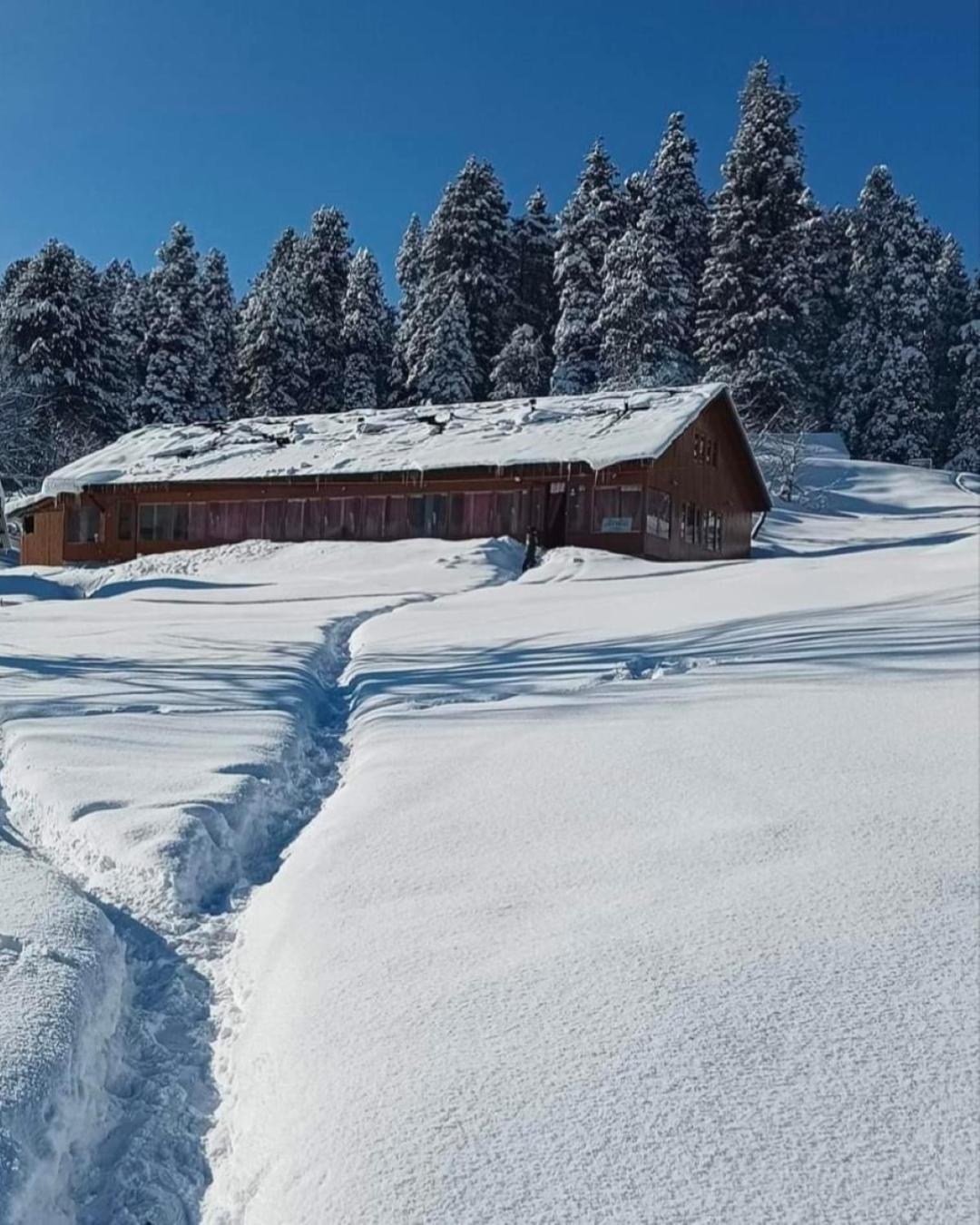 Roseland Cottage , Gulmarg Ngoại thất bức ảnh